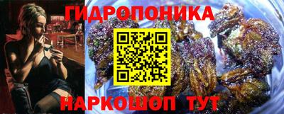 таблы Гусев